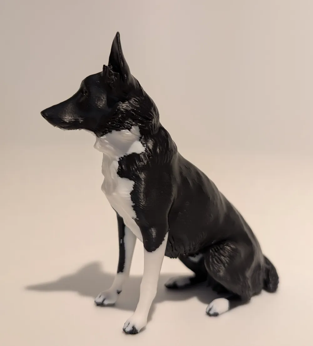 Dog Border Collie Realistic - Free 3D Print Model - MakerWorld