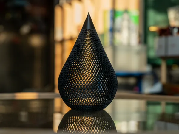 https://makerworld.bblmw.com/makerworld/model/US79f23aa67affab/design/2025-11-02_b91769280266d8.jpg