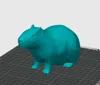 Biggest Capibara 0.2mm layer, 2 walls