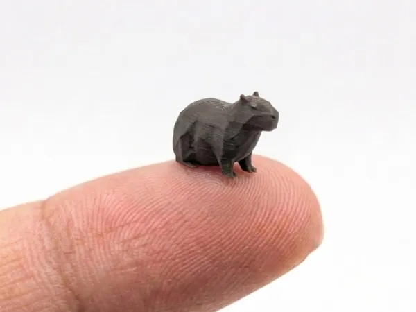 https://makerworld.bblmw.com/makerworld/model/US79f359e1fe228c/design/d8eb7473f8c677fc.jpeg