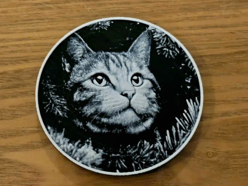 Cat in a Tree - Coaster