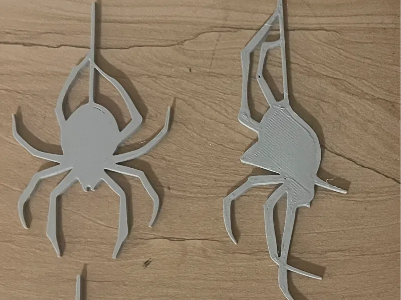 spiders