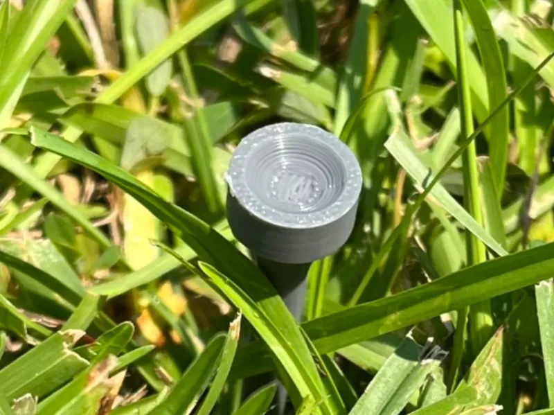 Golf Tee