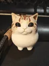 Fluffy Lanyard Version 0.16mm layer height, 2 walls, 8% infill