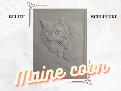 Maine coon in relief