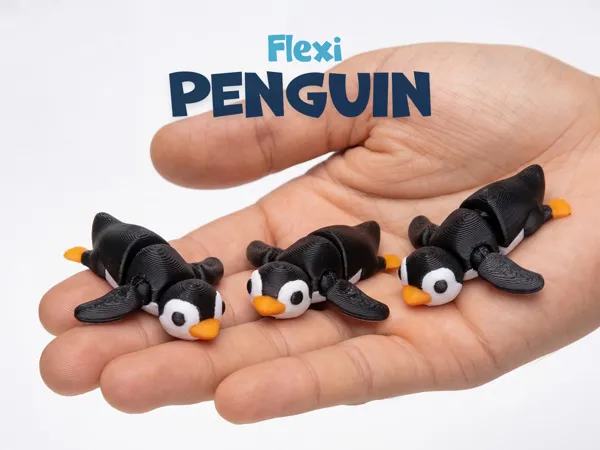 https://makerworld.bblmw.com/makerworld/model/US7a0358729f0d11/design/5da48590a477f9f5.jpg