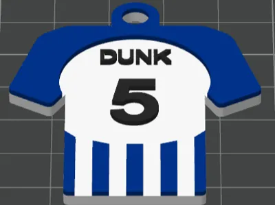 Brighton Player Keyrings