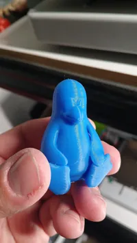 Tux multicolore — photo 2