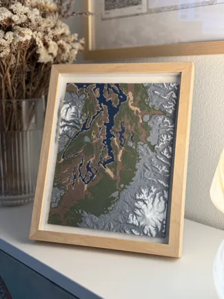 Seattle/ Tacoma Topographical Map