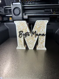 X2D, 0.2mm layer, 2 walls, 8% infill