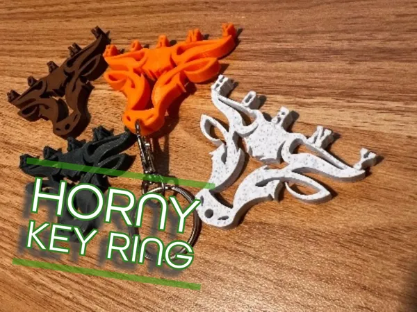 https://makerworld.bblmw.com/makerworld/model/US7a19fceedcf3d0/design/2024-05-08_5491e465bb64e8.jpeg