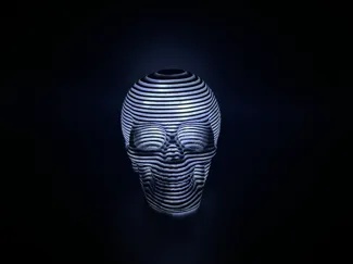 Striped Skull, Solid or Hollow