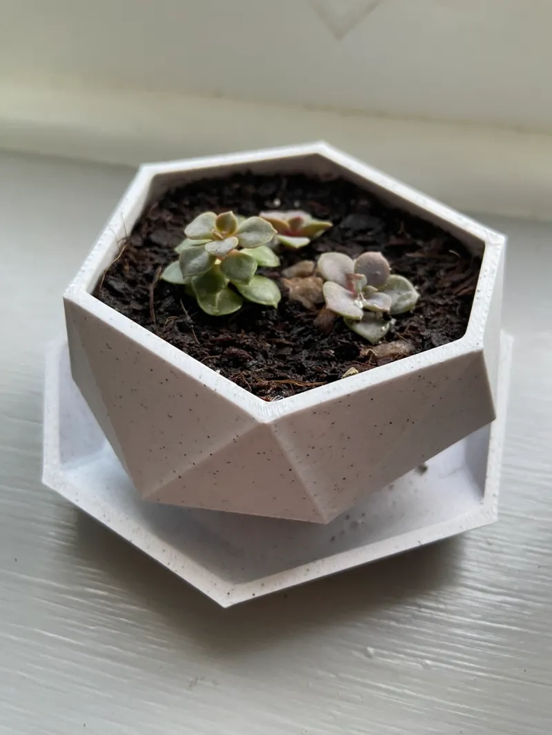 Polygonal Mini Plant Pot With Built In Drainage Tray