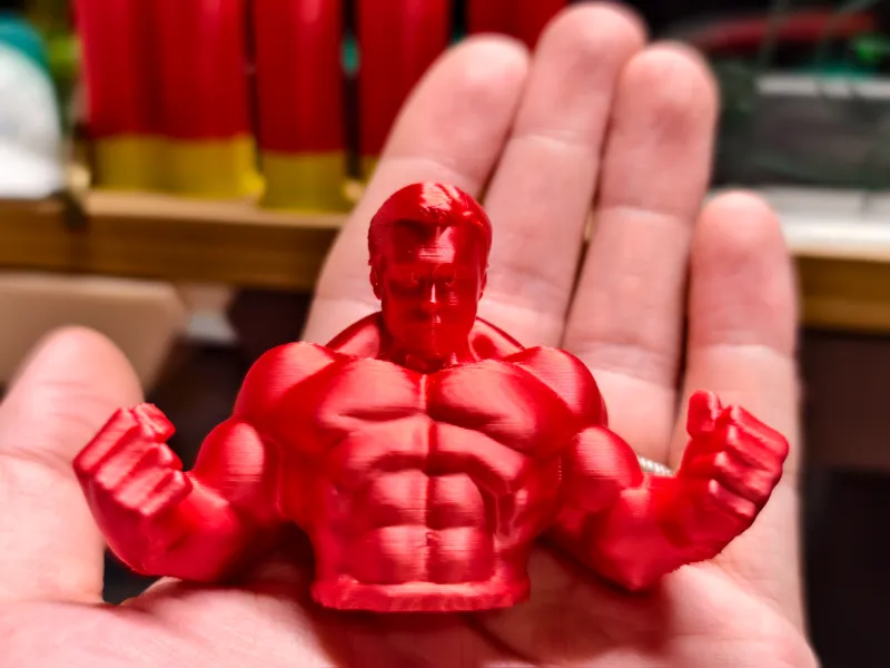 muscle Elon Musk