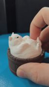 Spinning Chonk