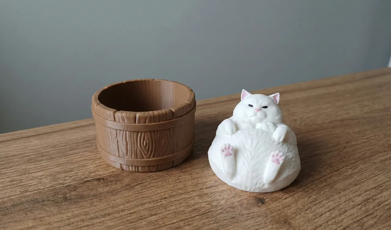 Chonky Cat in a Tub / Storage or Clicker! view 3