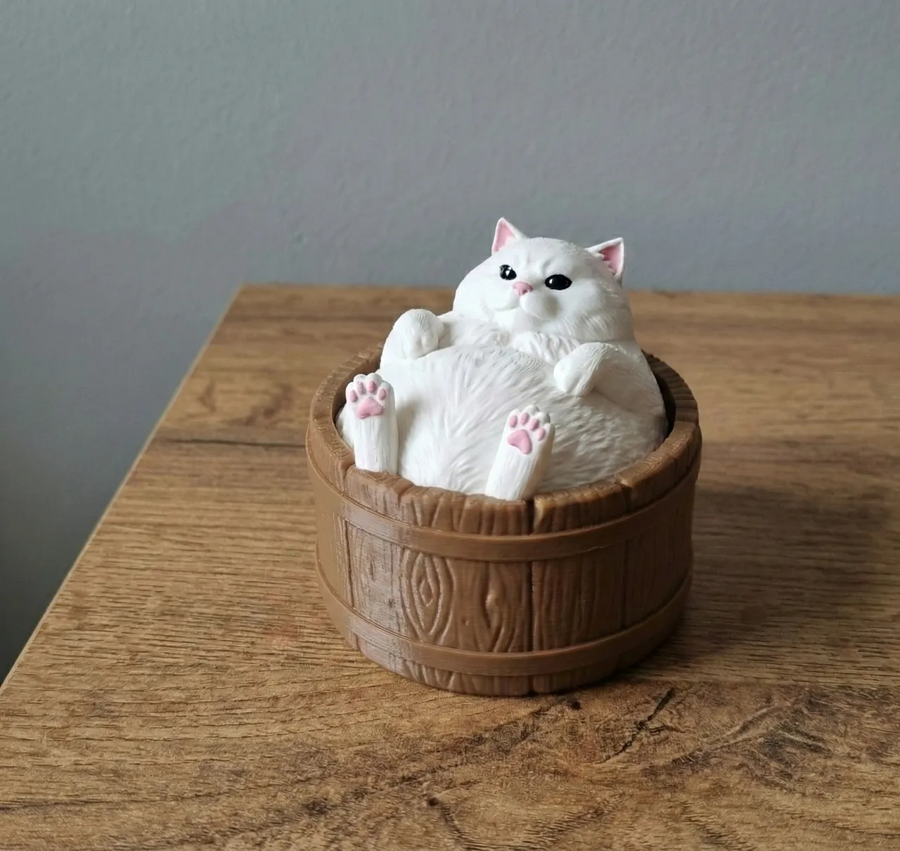 Chonky Cat in a Tub / Storage or Clicker! view 2