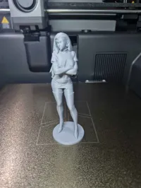 0.12mm layer, 2 walls, 15% infill
