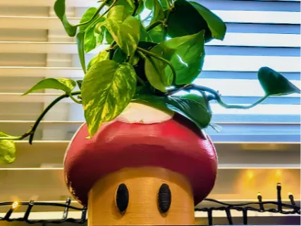https://makerworld.bblmw.com/makerworld/model/US7a3236f8a459f1/design/2024-12-31_fe01d8c4c25ba.png