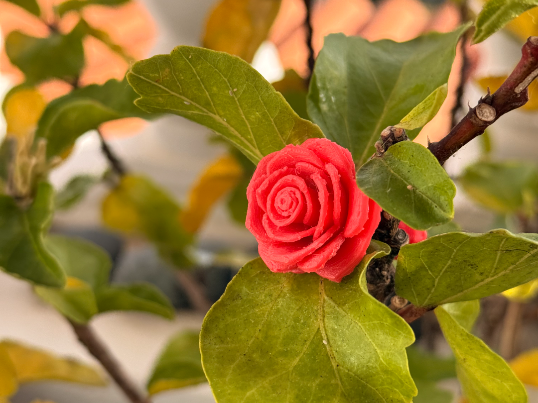 Detailed Mini Rose - Perfect Plant & Desk Decor