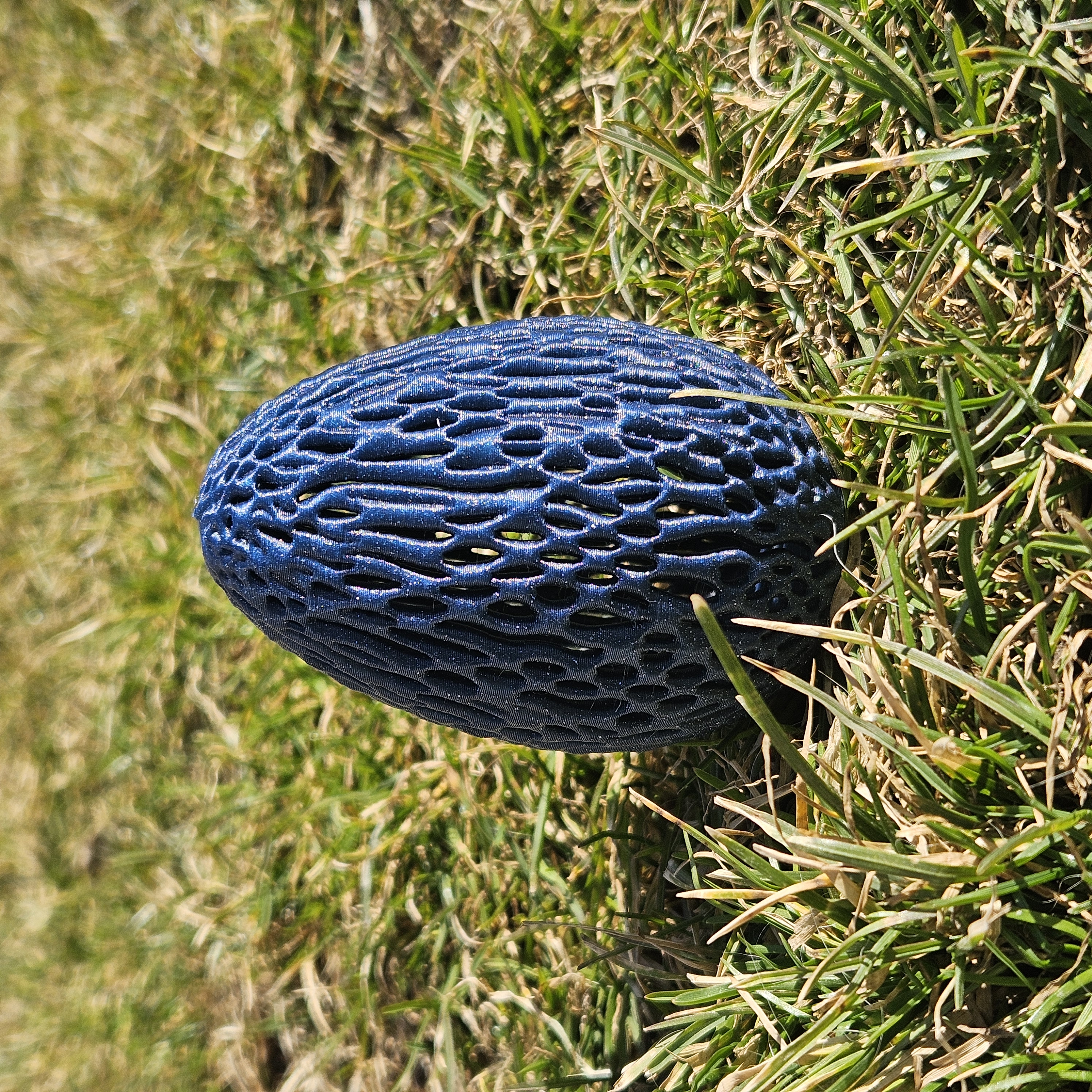 Miniatura 3 do modelo 3D Lattice Easter Eggs