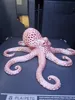Voronoi Octopus 80%