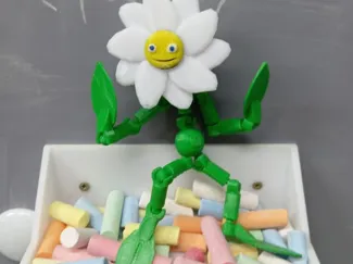 Daisy the flower
