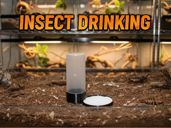 https://makerworld.bblmw.com/makerworld/model/US7a42bbed538602/design/2025-11-03_9119bbebe43fc.jpg