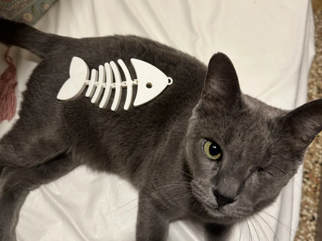 Poisson articulé flexible pour chat