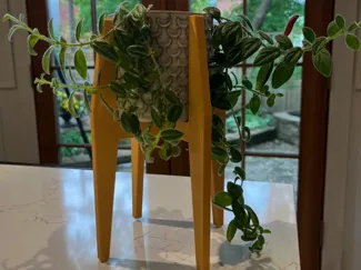 Plant stand for IKEA 9cm Chiafron Plant Pot