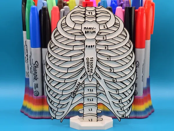 https://makerworld.bblmw.com/makerworld/model/US7a446253aeb7ad/design/2025-08-24_5a78d98072341.jpg