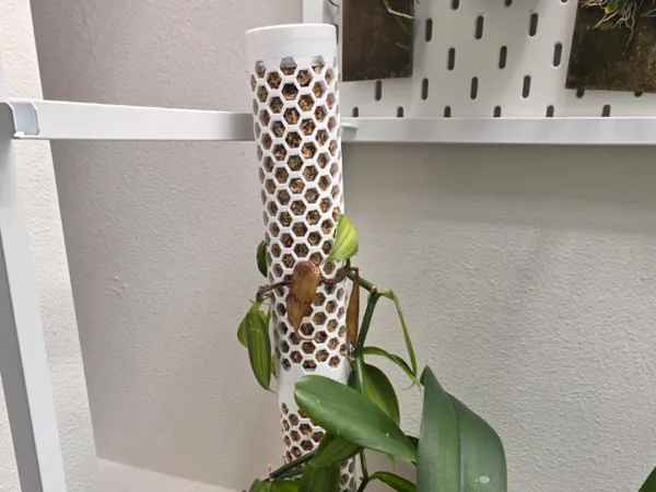 https://makerworld.bblmw.com/makerworld/model/US7a45ed2cce6186/design/576d2aa5d518babd.jpg