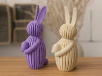 Los dos modelos de conejos