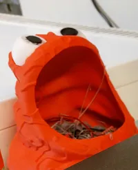 No AMS needed -  0.2mm layer, 2 walls, 12% infill