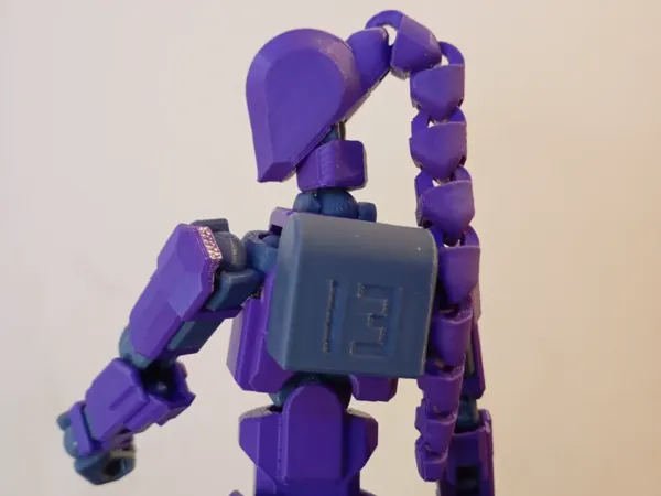 https://makerworld.bblmw.com/makerworld/model/US7a51c95b927a77/design/2025-05-14_99e9f1ab40979.webp