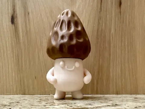 Morel Guy