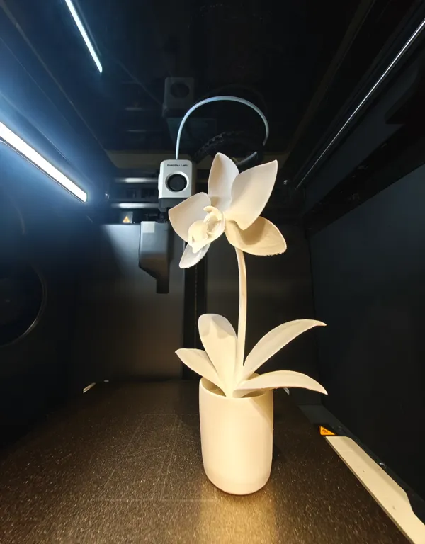 https://makerworld.bblmw.com/makerworld/model/US7a5c8223a4d968/design/2024-12-30_9c20856fae31d.jpg