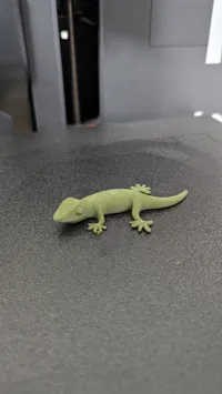 Petit gecko décoratif — photo 2