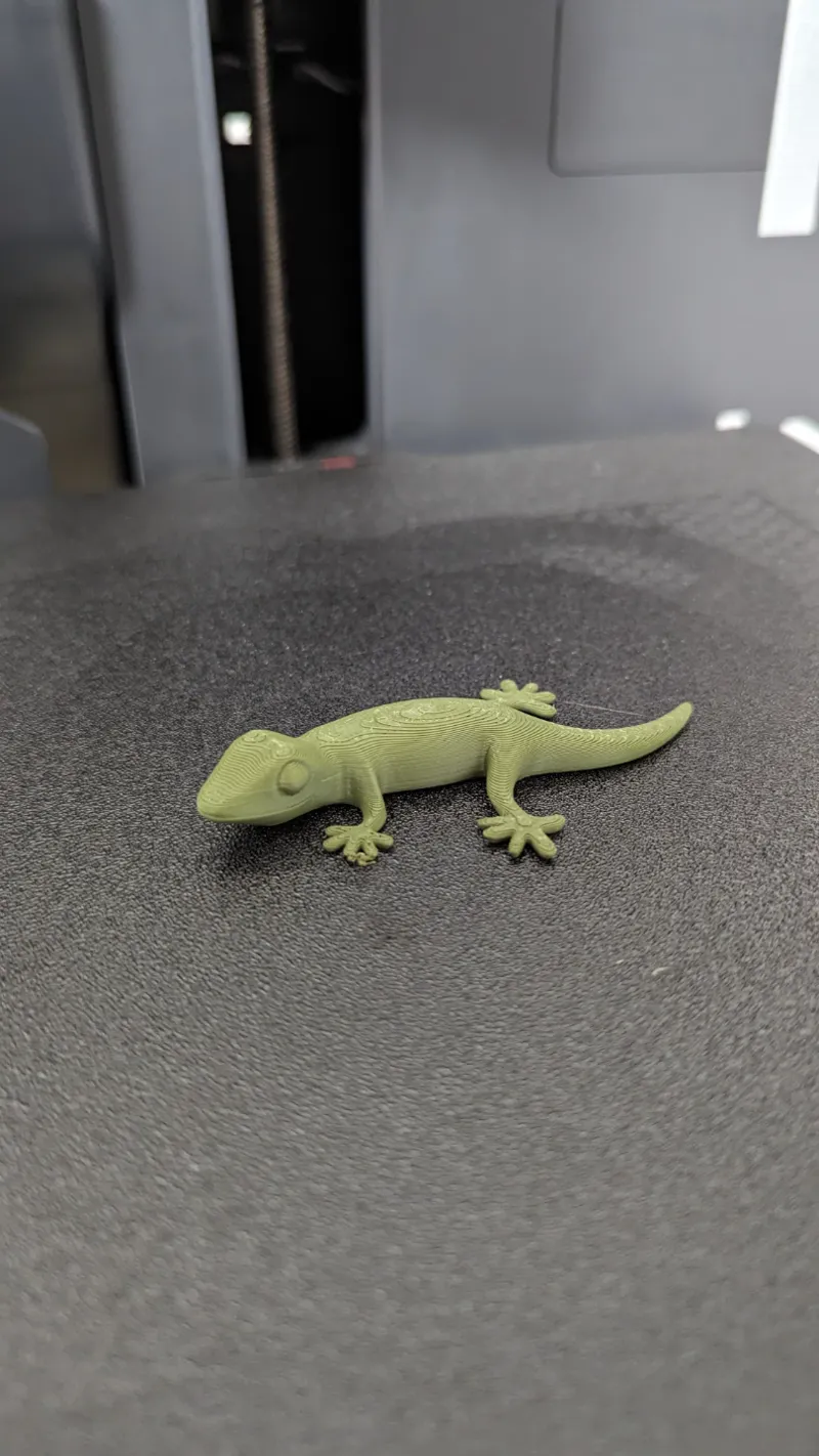Simple gecko