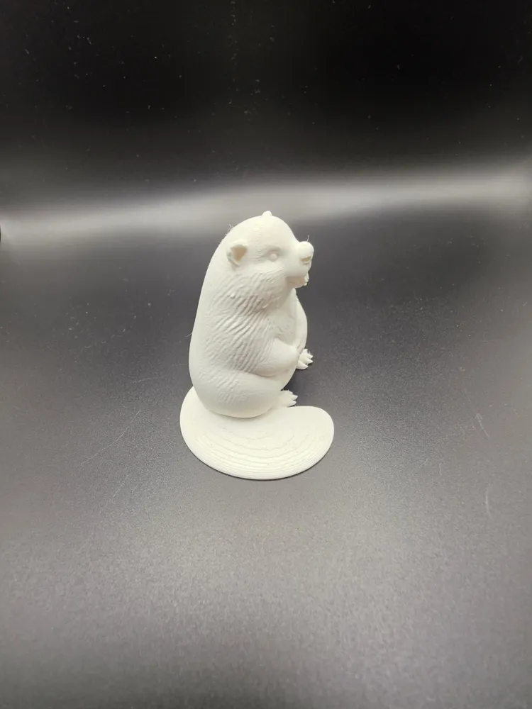 Beaver – Realistic Animal Model (standing) - Free 3D Print Model ...