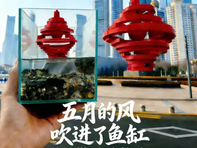 May Wind Aquarium Ornament