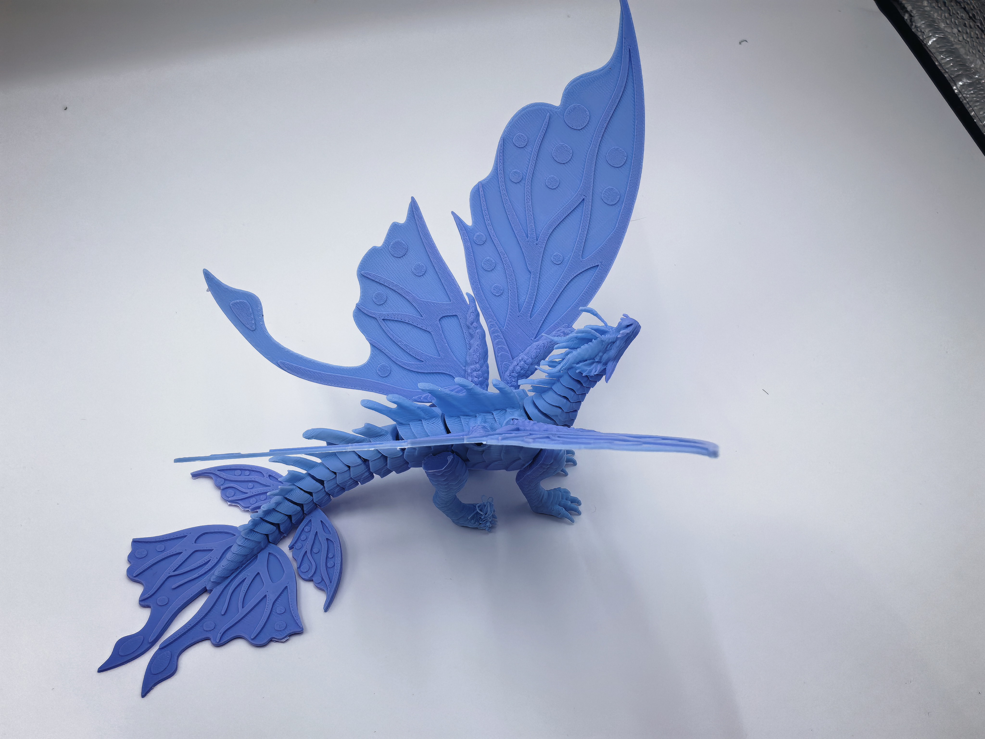 Miniatura 4 do modelo 3D 丝翼飞龙，蝴蝶翅膀，无需支撑