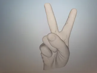 pece hand model