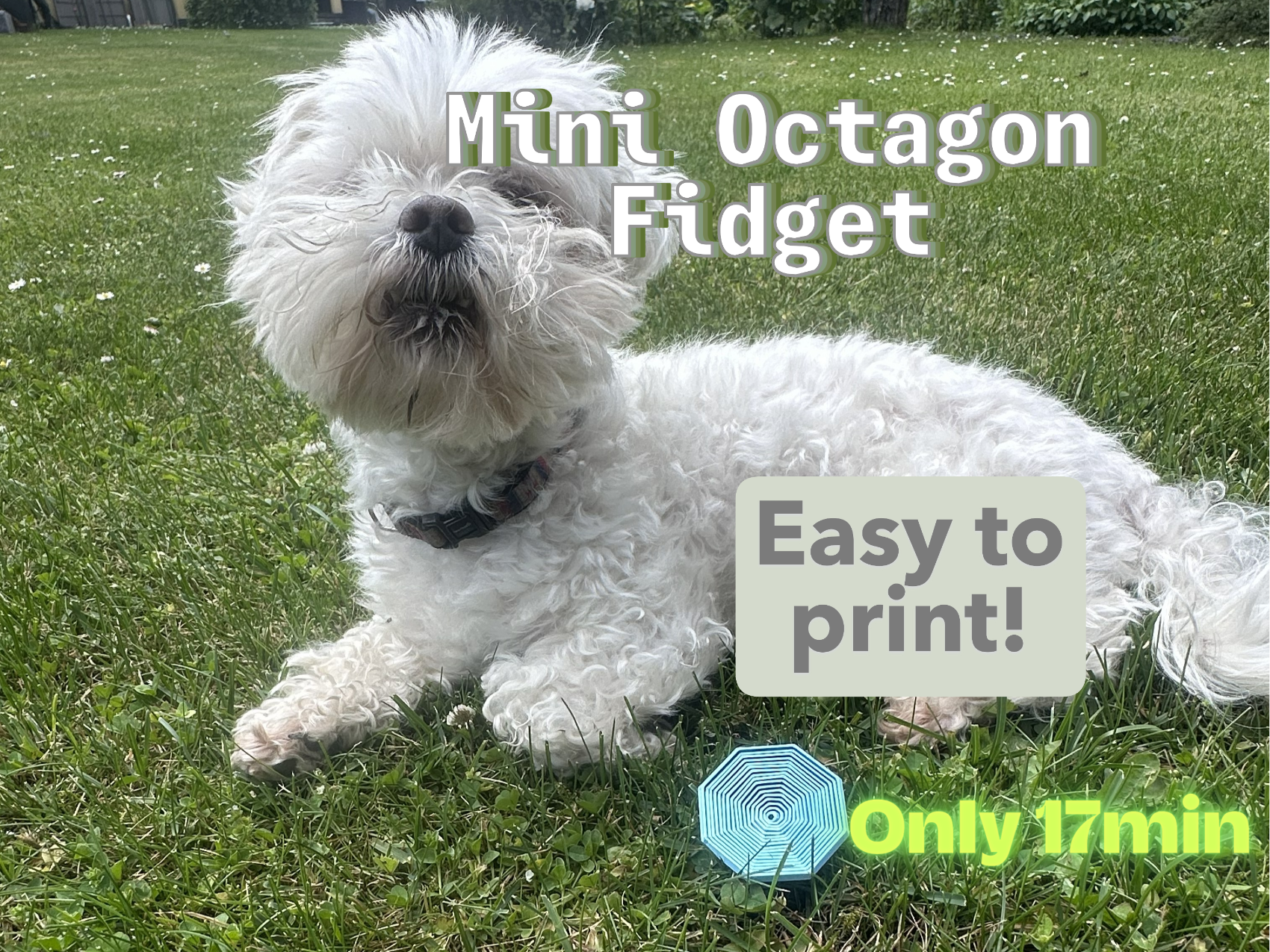Mini octagon fidget toy!!