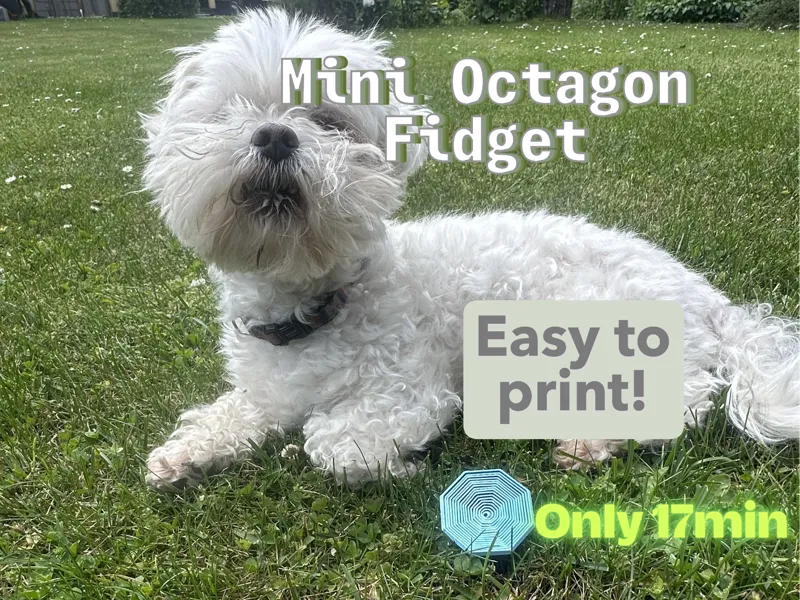 Mini octagon fidget toy!!