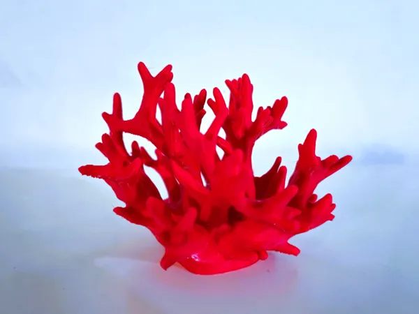 https://makerworld.bblmw.com/makerworld/model/US7a6eb184e82a4c/design/2025-10-21_616d10d720a59.jpg