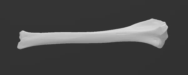 https://makerworld.bblmw.com/makerworld/model/US7a70188480954d/design/2024-01-28_9e0177d629e69.png
