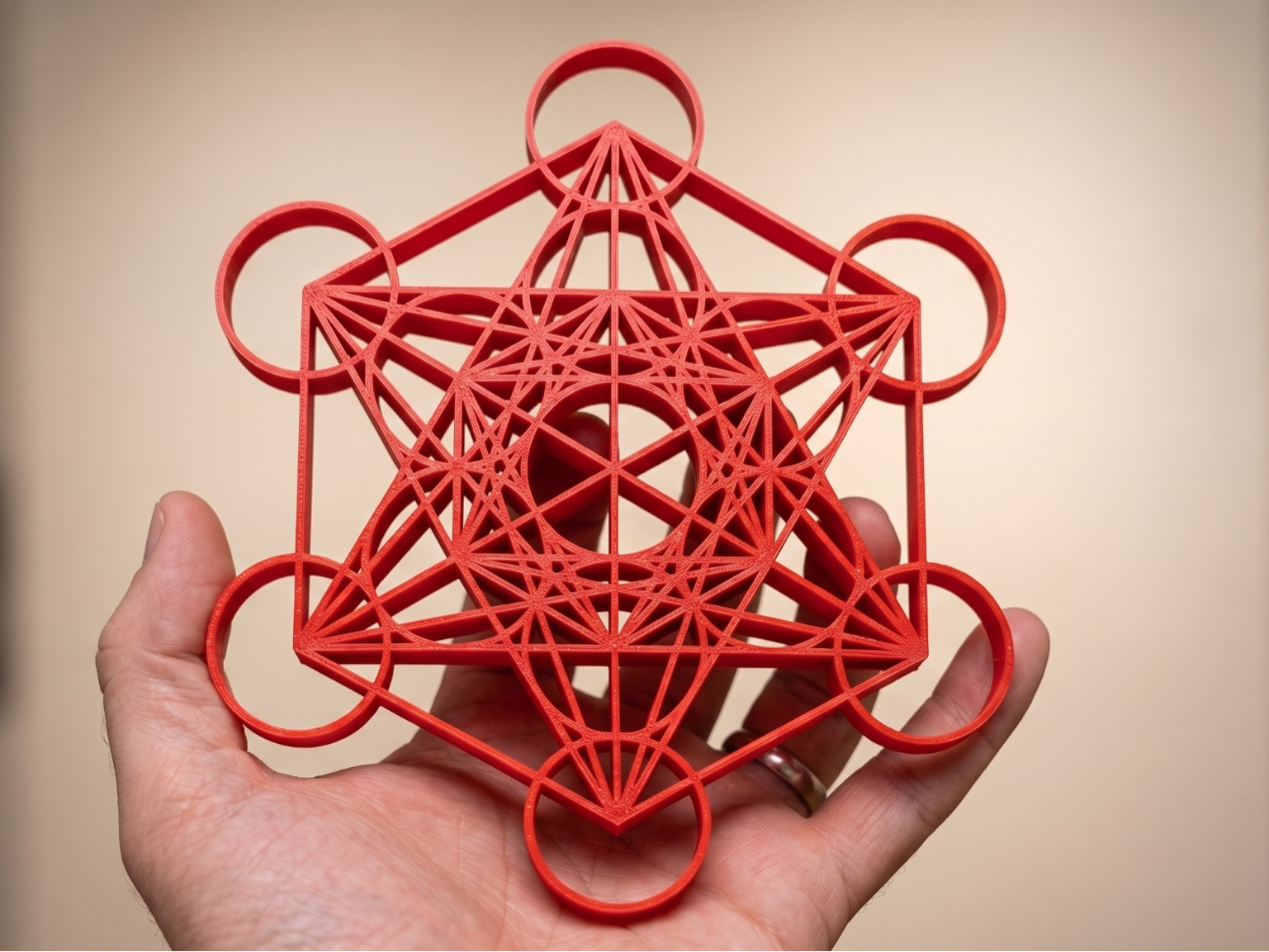 Metatron's Cube