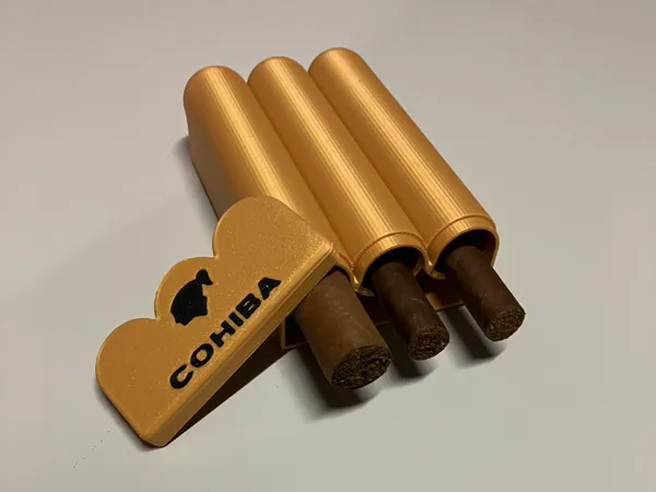 https://makerworld.bblmw.com/makerworld/model/US7a744b1446f3d1/design/2024-11-21_2da093ee2e2e5.jpeg