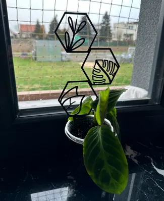 HexPlant plant trellis